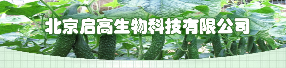 北京启高生物科技有限公司